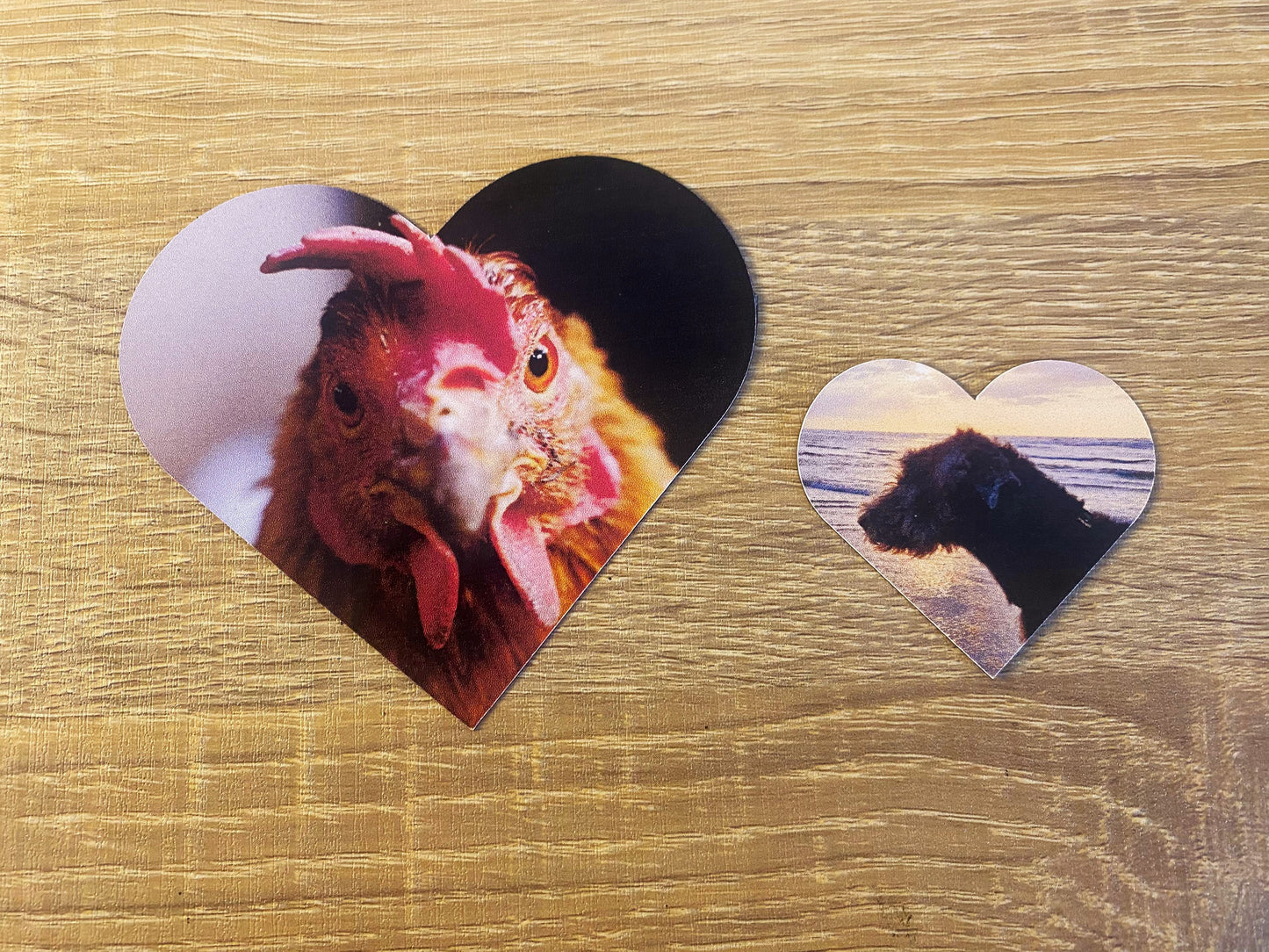 Magnets personnalisables photo